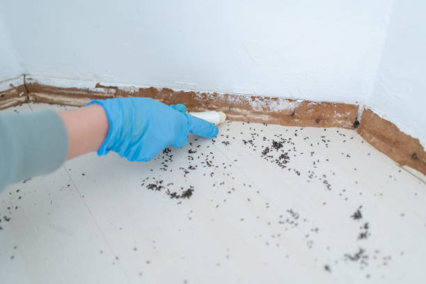 Real Estate Pest Inspections in Russell, PA